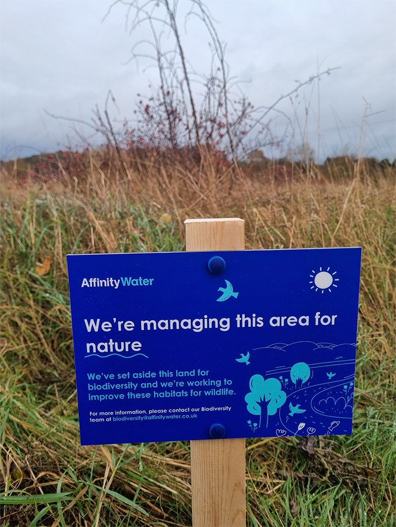 a woman filling a kettle