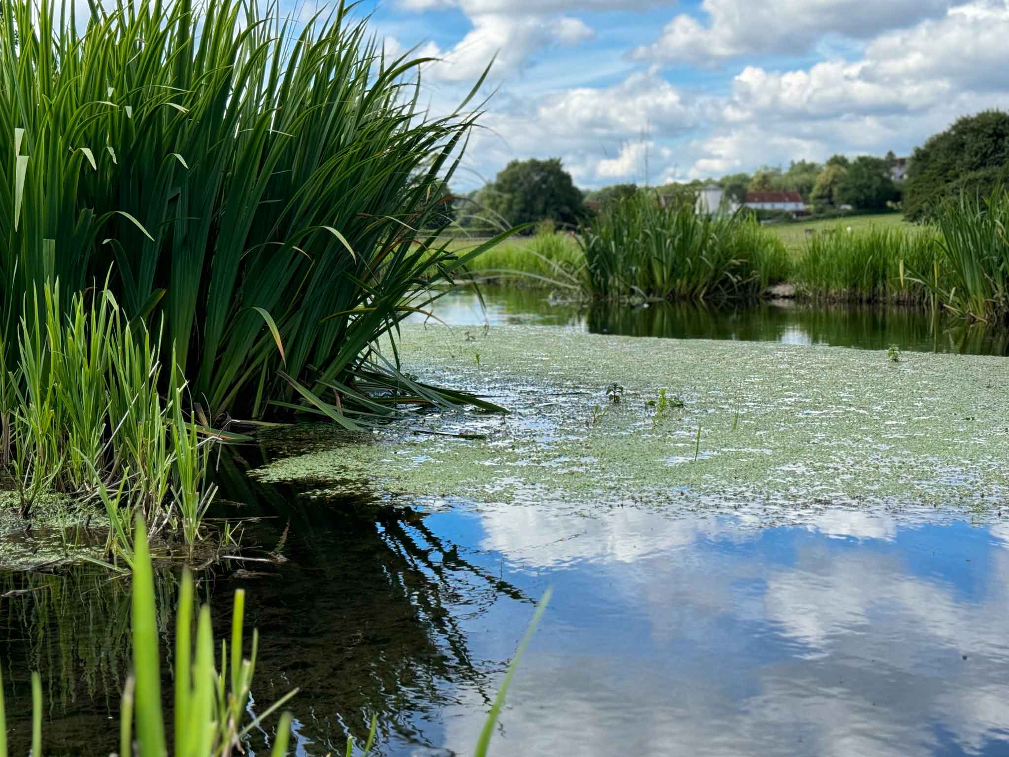 a picture of a river