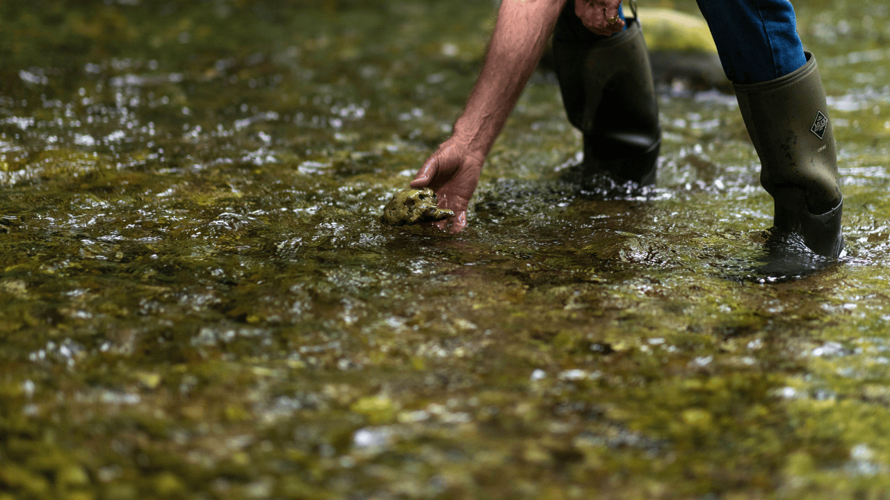   How winter rainfall helps our water system and local critters 